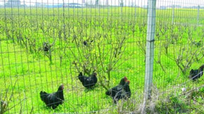 ЙC(j)O(sh)-ݼSğoYԴ