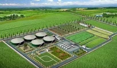 整縣推進(jìn)畜禽糞污資源化利用