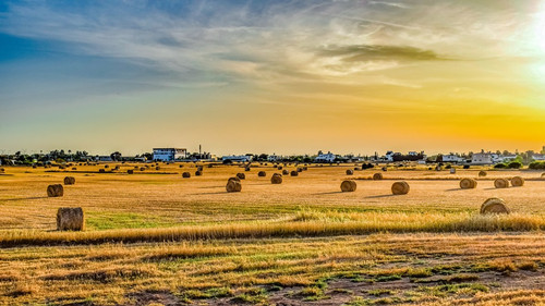 平原縣綠色興農(nóng)——有機肥替代化肥,助力農(nóng)業(yè)綠色發(fā)展