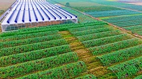 ͲݼSץãB(ti)ѭh(hun)r(nng)I(y)`