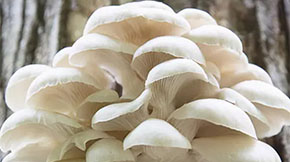 նЙC(j)Uѭh(hun)Gɫr(nng)I(y)l(f)չ