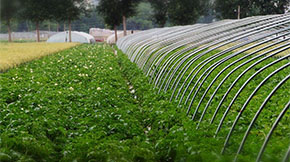 Ҍr(nng)Ո_ЙCʏSЩaN