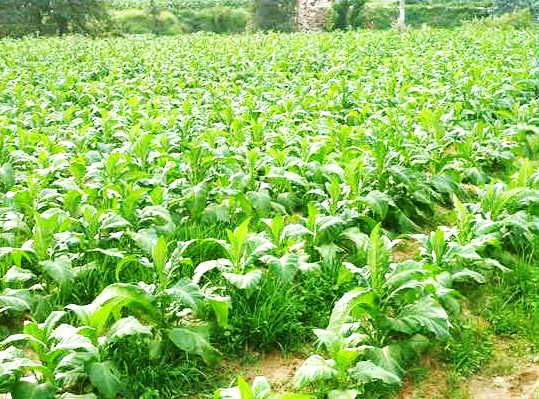 ؑcm(x)_չr(nng)I(y)ԴȾ ȫлʺr(nng)ˎʹÿքeBm(x)510fp