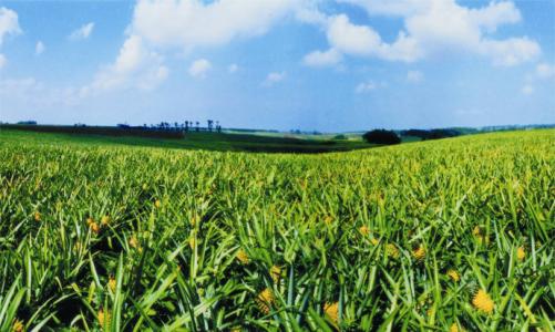 B(yng)ֳUa(chn)ЙC(j)P(gun)g(sh)о