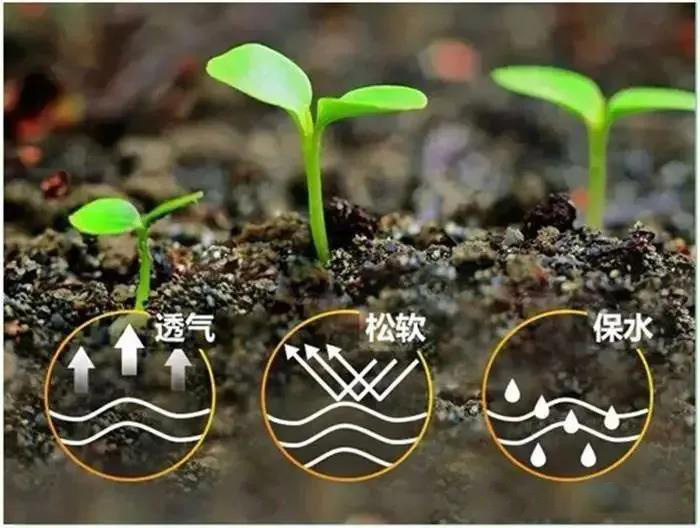 δ(li)ЙC(j)ʱ،ɞИI(y)a(chn)r(nng)YM(fi)ğc(din)