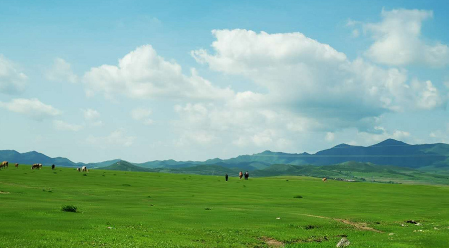 ɽʡƌW(xu)ʩʡg(sh)w90