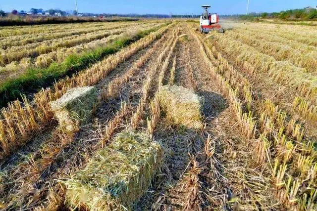 աMɽ|ȫʡնCʷ(wn)95