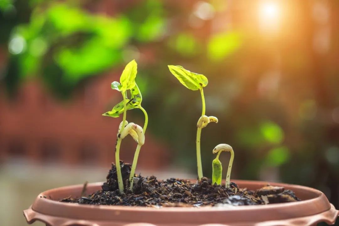 2000f҇ЙC(j)Ј(chng)޴