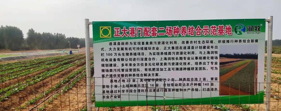 \ՄNB(yng)Y(ji)B(yng)il(f)չģʽ