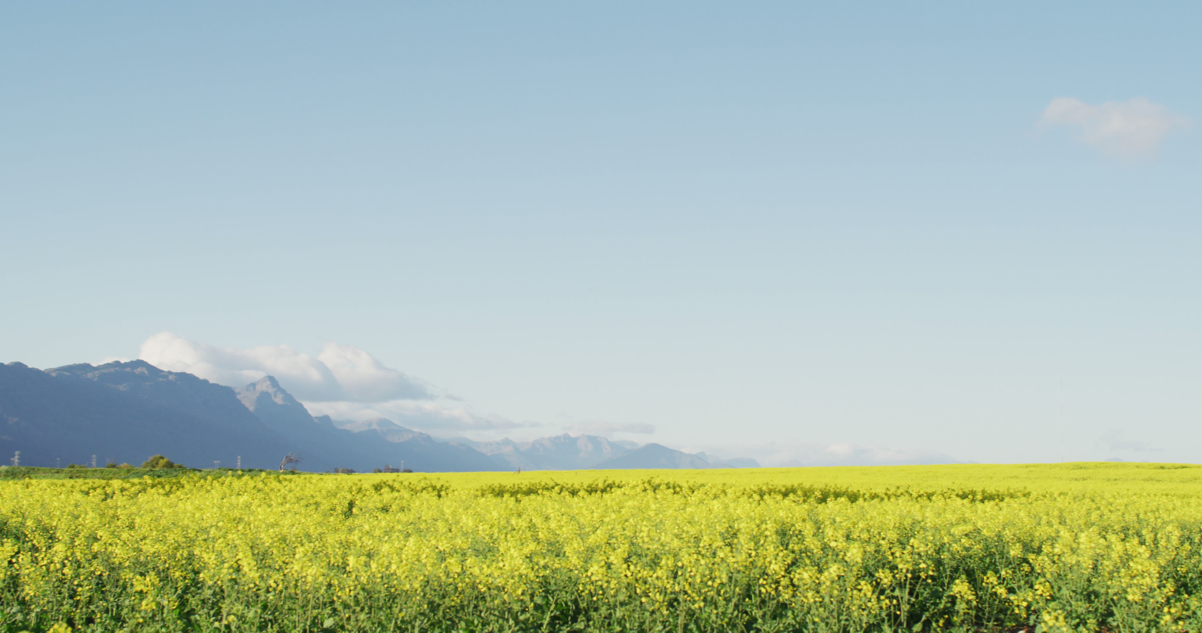 ׃U錚r(nng)I(y)Uﻯ߀o(h)f