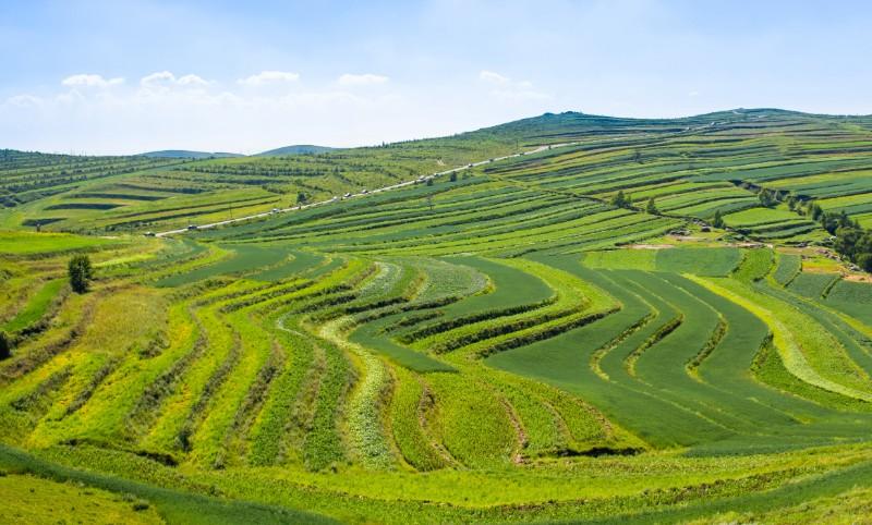 F~fɽݼS׃U錚B(ti)ѭh(hun)r(nng)I(y)l(xing)d