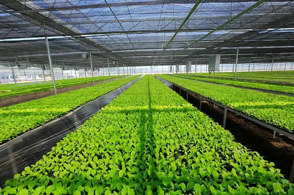 ຣa(chn)ЙC(j)ʩe_(d)300f