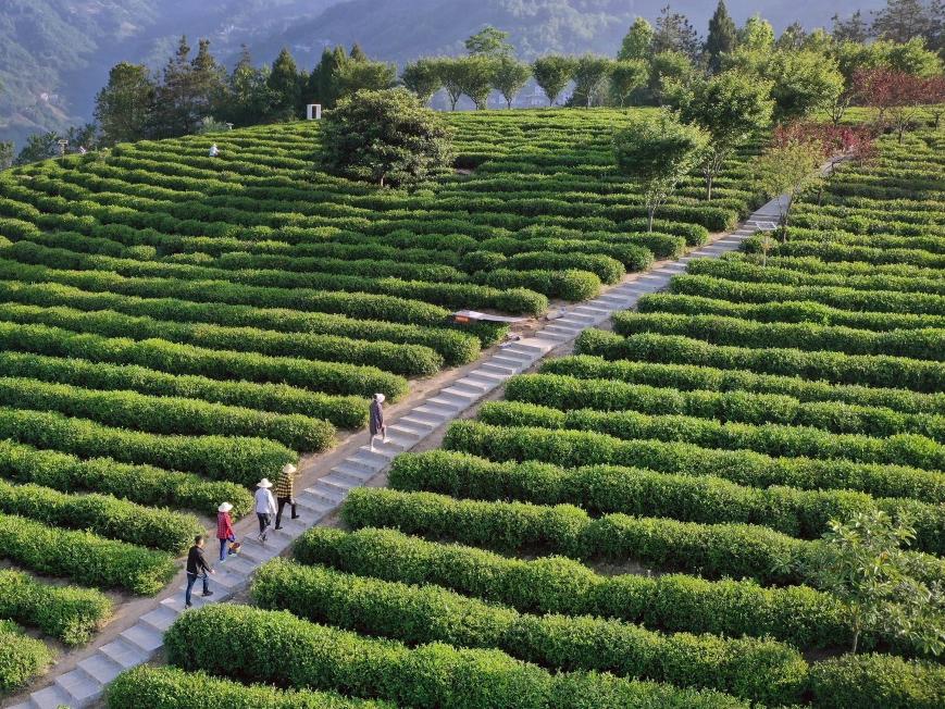 ˮƽo(h)ƄӸ|(zh)l(f)չ l(xing)dB(ti)׾