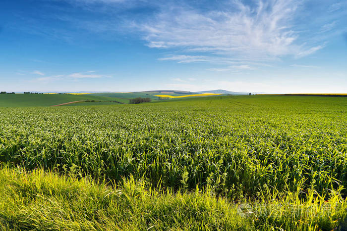 NB(yng)Y(ji) ͮa(chn)׃߮a(chn)