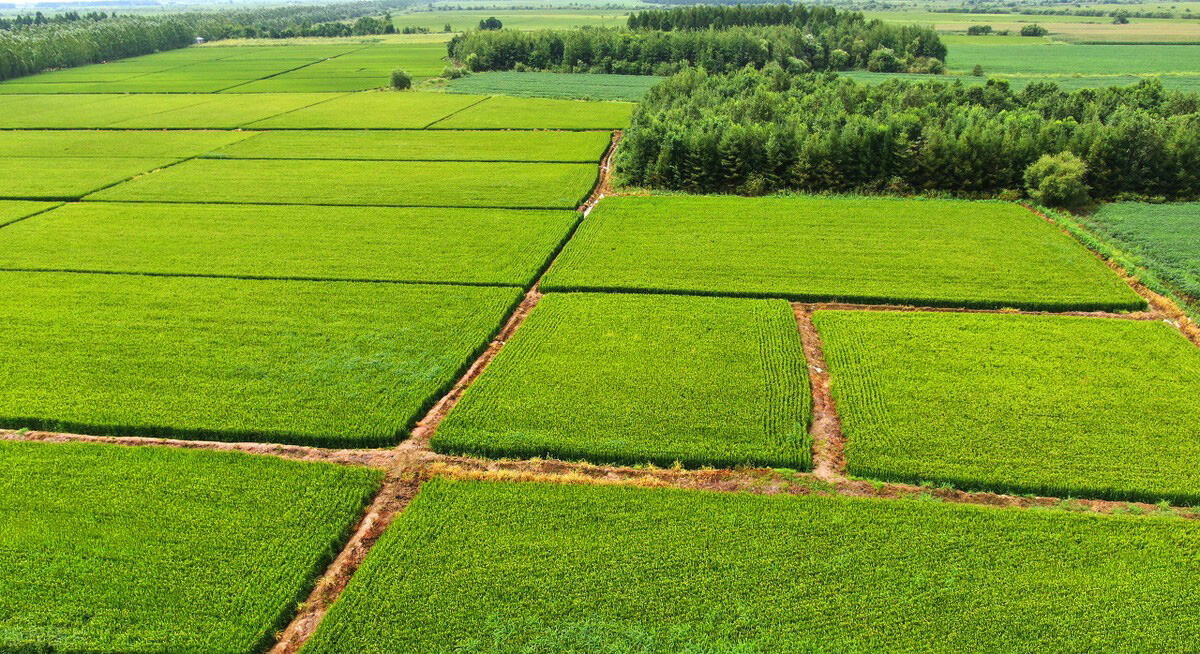 ЧG(yng)r(nng)I(y)Gɫl(f)չЧ@