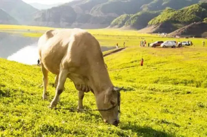 F~f(wn)ɽݼS׃U錚B(ti)ѭh(hun)r(nng)I(y)l(xing)d