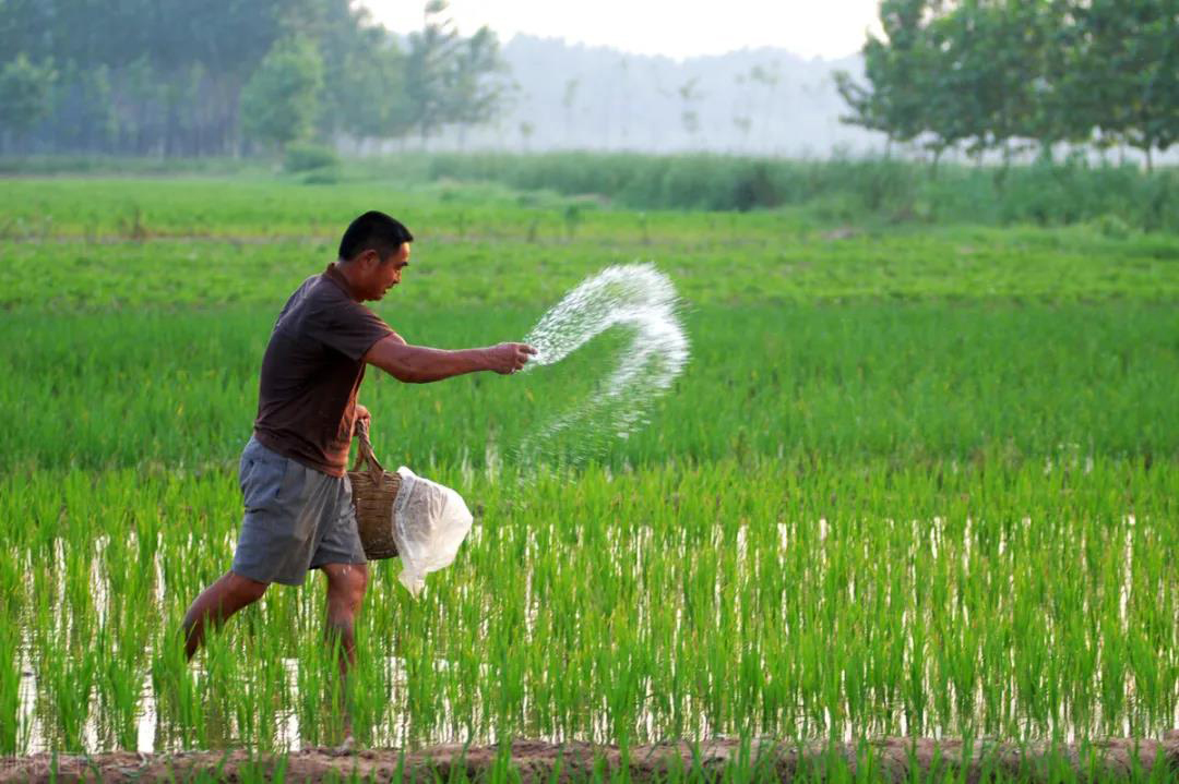 ЧG(yng)r(nng)I(y)Gɫl(f)չЧ@