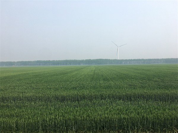 r(nng)I(y)r(nng)岿P(gun)ڳm(x)M(jn)ݼSYԴøˮƽϼZʳȫĽh(f)