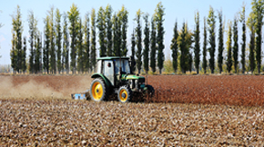 有機(jī)肥與土壤的培肥