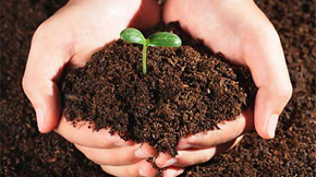 肥料種類對土壤腐殖質(zhì)組成的影響