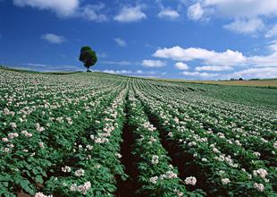 iSЙC(j)a(chn)ʲôҪ