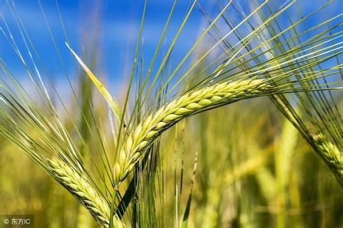 ЙC(j)O(sh)-݆ʽљC(j)Ҫ