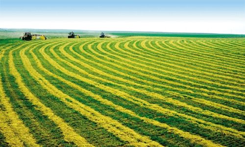 a(chn)ҪЩa(chn)O(sh)䣿