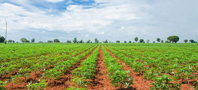 a(chn)ЙC(j)ҪkЩm(x)