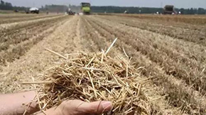 Ͻնa(chn)I(y)l(f)չҪ ȫM(jn)նȫ