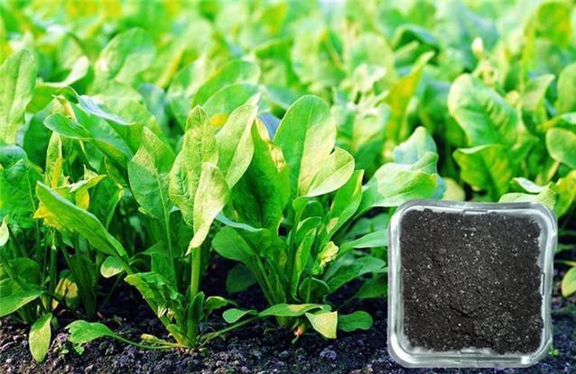 ЙC(j)ʰl(f)ͼg(sh)Щ(yu)c?