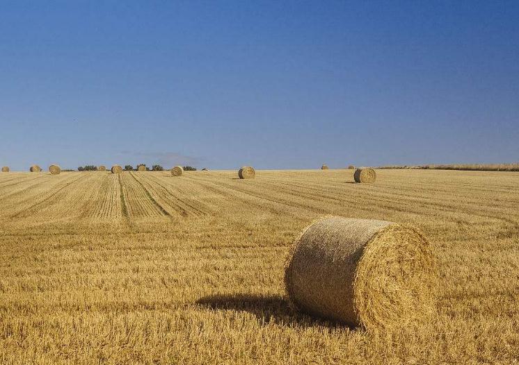 նЙC(j)ʼӹW(xu)ˇcO(sh)