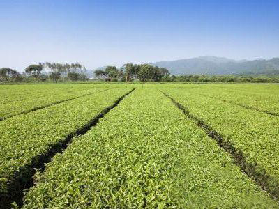 kСЙC(j)ʼӹSҪʲôm(x)ҪX