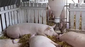 ���(gu��)�B(y��ng)�i����ô̎���S�۵����@Щ����ֵ�ÌW(xu��)��(x��)��