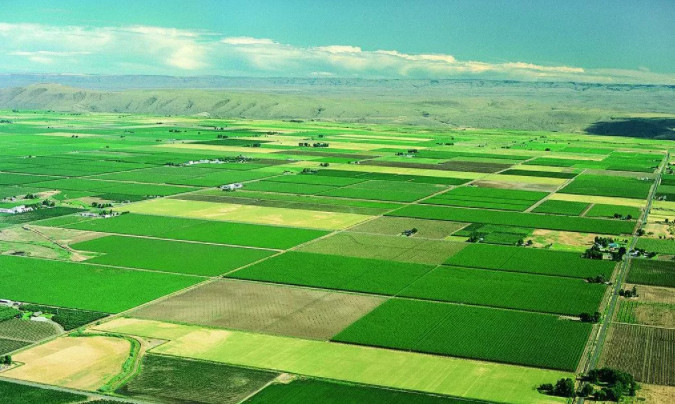 ȫ÷ ЙC(j)a(chn)O(sh)X(qin)һ