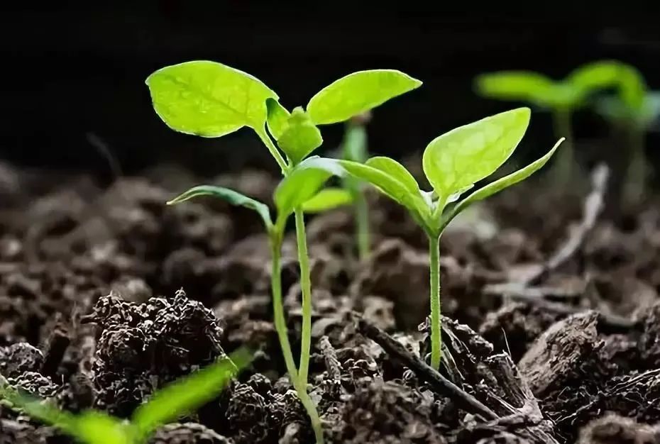 ЙCwac۠a̎ʽкβͬ