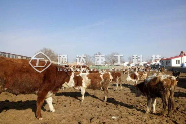 (ni)ɹŽһla(chn)5fţSЙC(j)a(chn)ָ