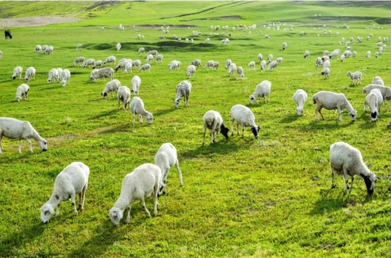 ʹSЙC(j)ҪʲôЙC(j)O(sh)