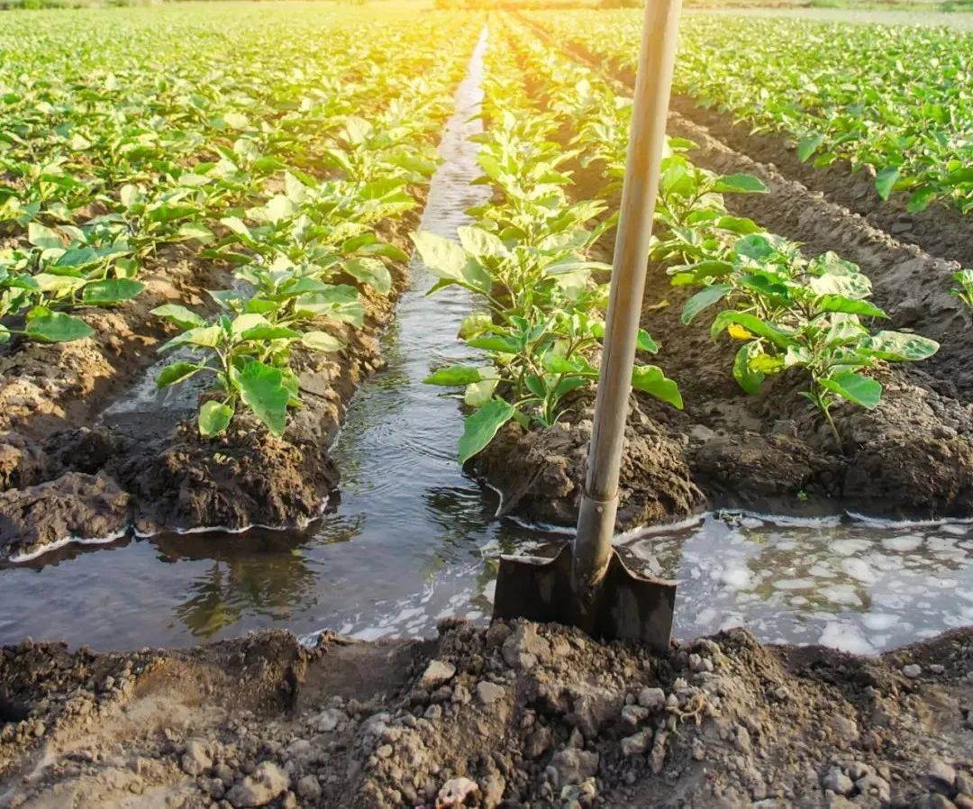 ЙC(j)ʵ傀(g)l(f)չڅ(sh)