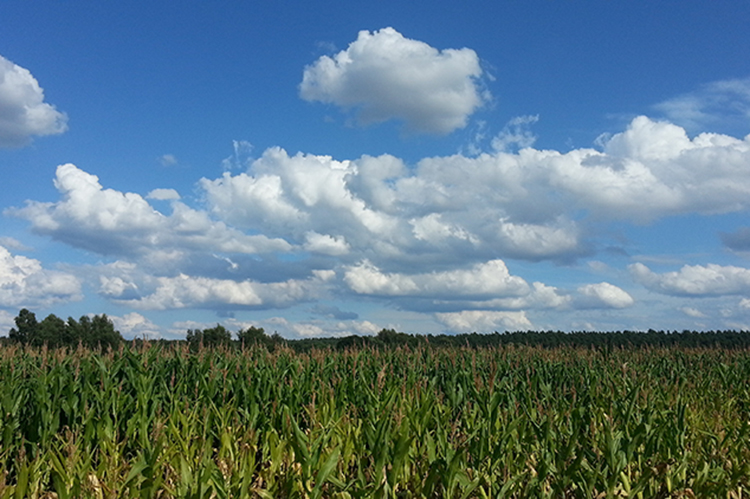 ЙC(j)ʏSa(chn)ƷЙC(j)ʺr(nng)ƼSʵą^(q)e