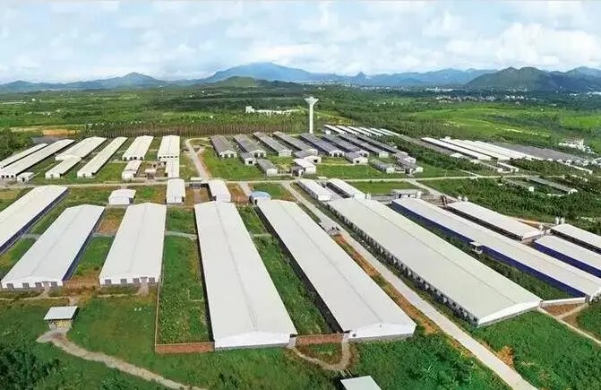 οДЙC(j)|(zh)ĺÉ