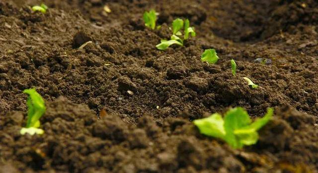 ҇(gu)Ϸ(li)(zh)И(bio)(zhn)ȫ