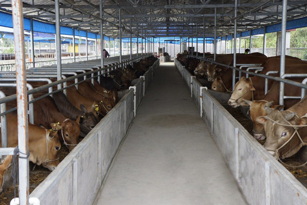 �i�S�ЙC(j��)�ʺ�ţ�S�ЙC(j��)���Ă�(g��)��?